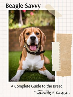 cover image of Beagle Savvy